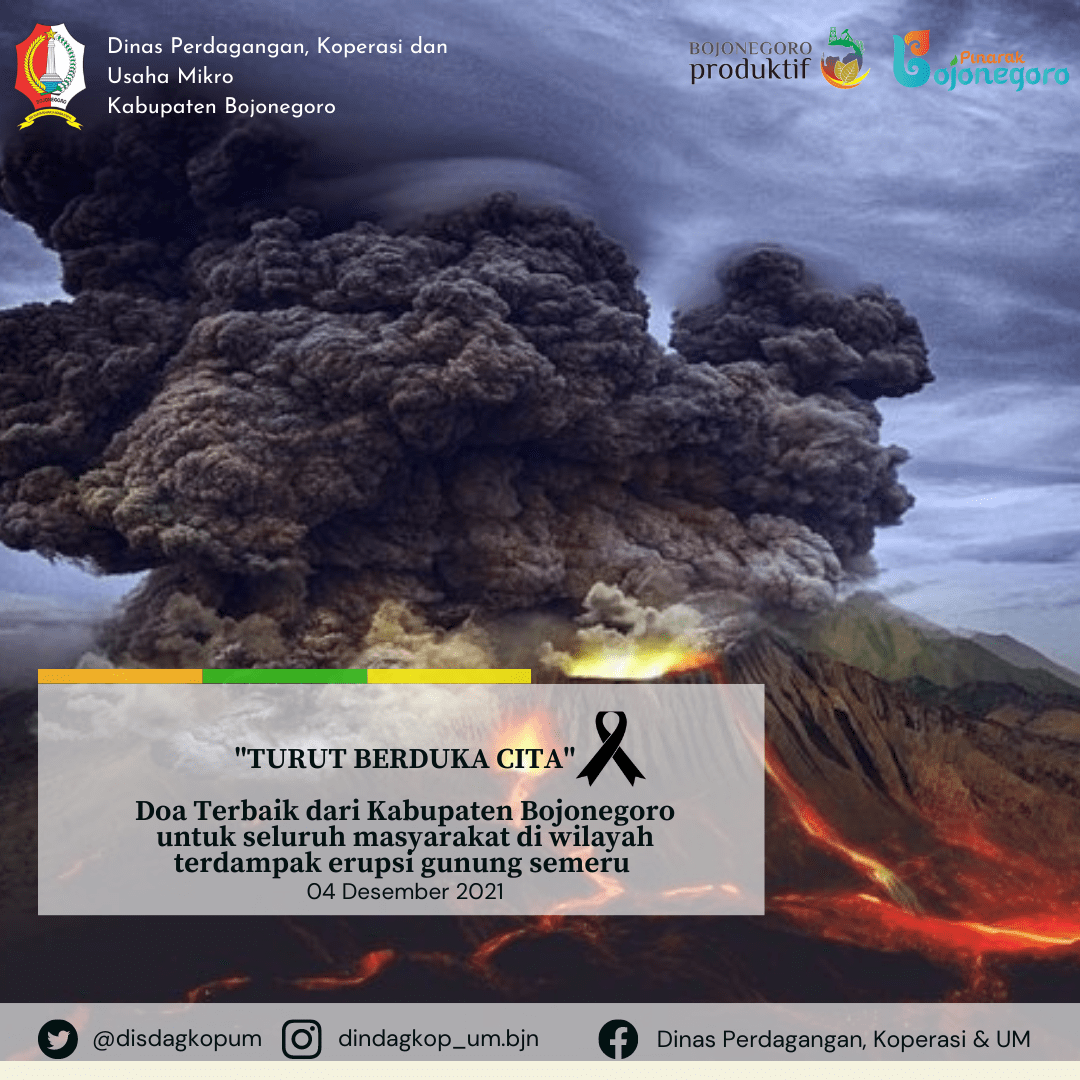 ERUPSI GUNUNG SEMERU 2021